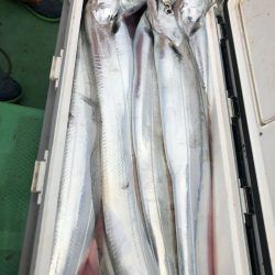 金沢八景鴨下丸 釣果