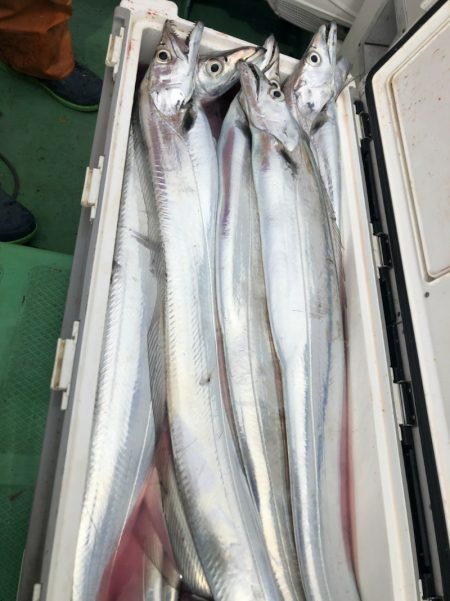 金沢八景鴨下丸 釣果