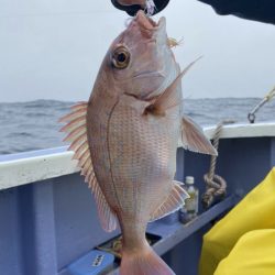 新幸丸 釣果