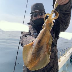 きずなまりん 釣果