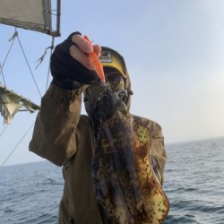 きずなまりん 釣果