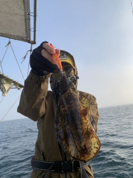 きずなまりん 釣果