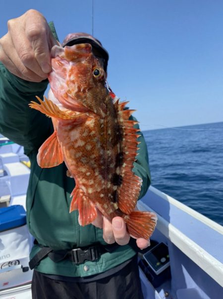 新幸丸 釣果