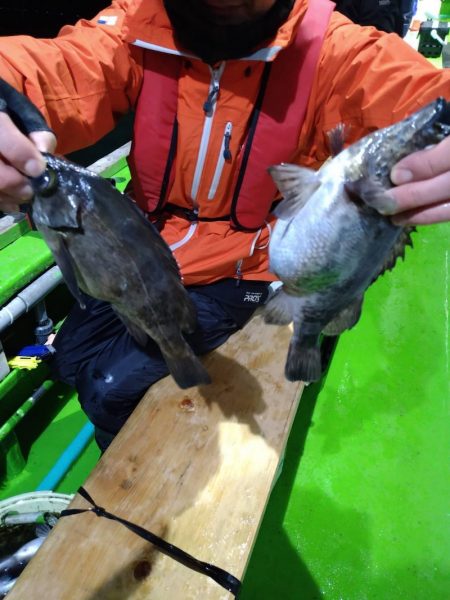小島丸 釣果