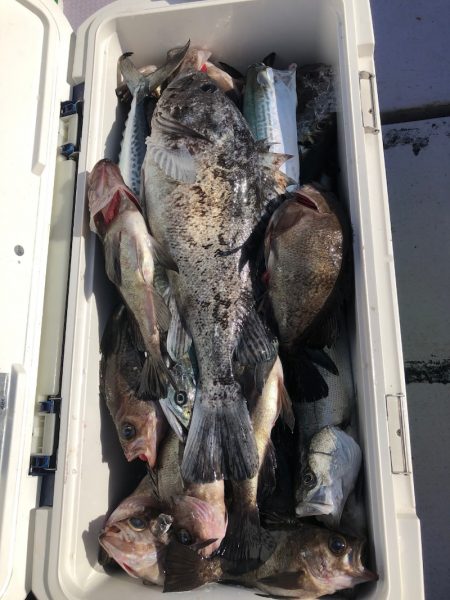 海龍丸（石川） 釣果