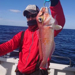 ARCADIAⅡ （アルカディアⅡ） 釣果