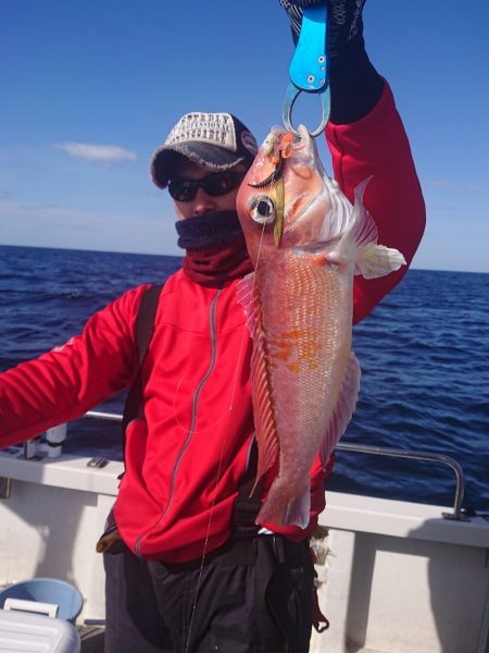 ARCADIAⅡ （アルカディアⅡ） 釣果…