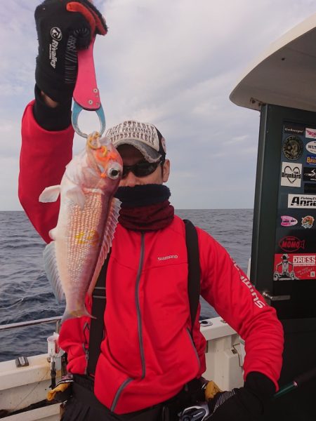 ARCADIAⅡ （アルカディアⅡ） 釣果