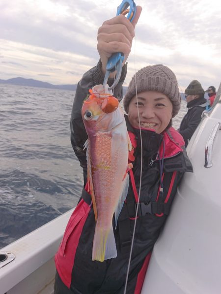 ARCADIAⅡ （アルカディアⅡ） 釣果