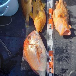 第二龍勢丸 釣果