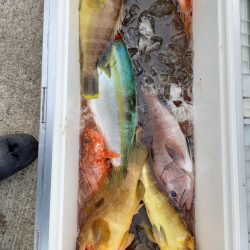 第二龍勢丸 釣果