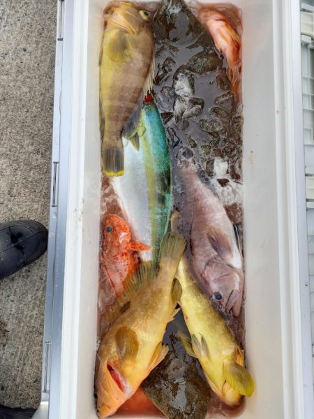 第二龍勢丸 釣果