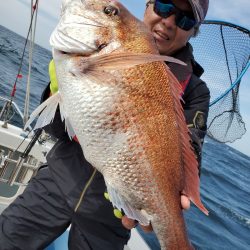 シーライオン 釣果