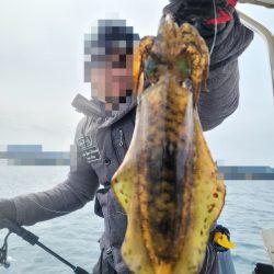 ソルトウォーターガイドフレンズ 釣果