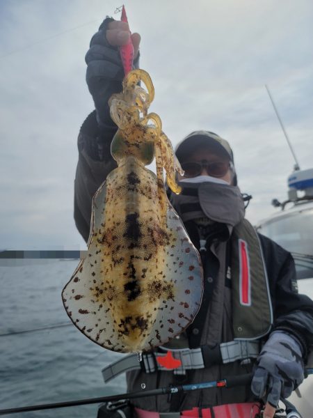 ソルトウォーターガイドフレンズ 釣果