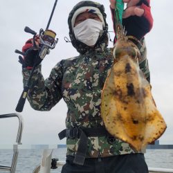 ソルトウォーターガイドフレンズ 釣果