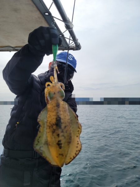 ソルトウォーターガイドフレンズ 釣果