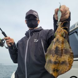 ソルトウォーターガイドフレンズ 釣果