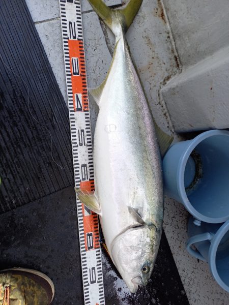 第二龍勢丸 釣果