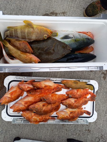 第二龍勢丸 釣果