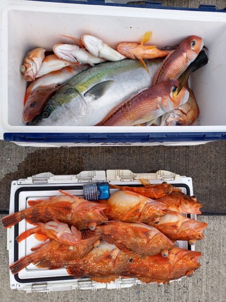 第二龍勢丸 釣果