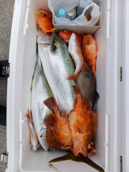 第二龍勢丸 釣果