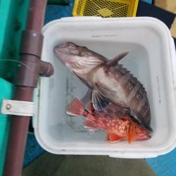 進誠丸 釣果