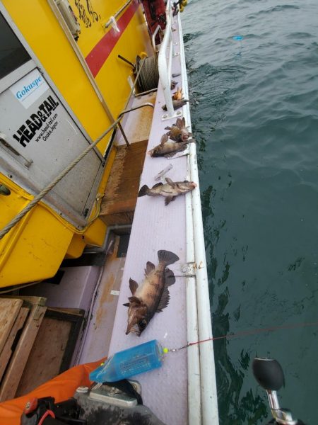 海龍丸（石川） 釣果