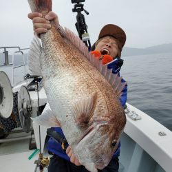 シーライオン 釣果