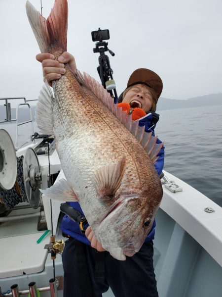 シーライオン 釣果