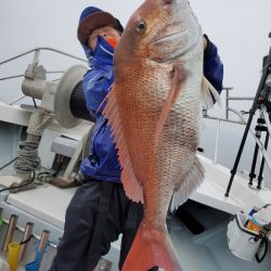 シーライオン 釣果