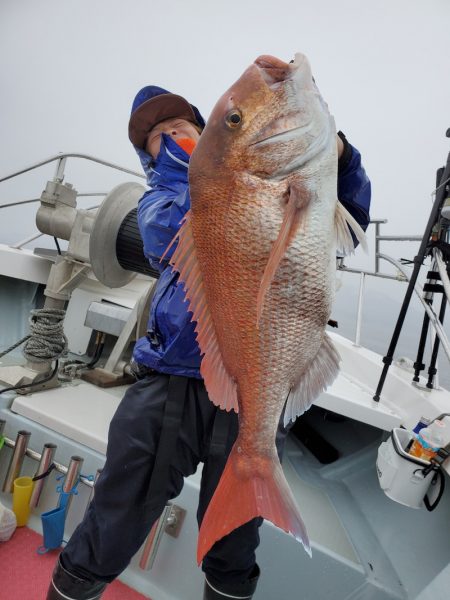 シーライオン 釣果