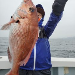 シーライオン 釣果