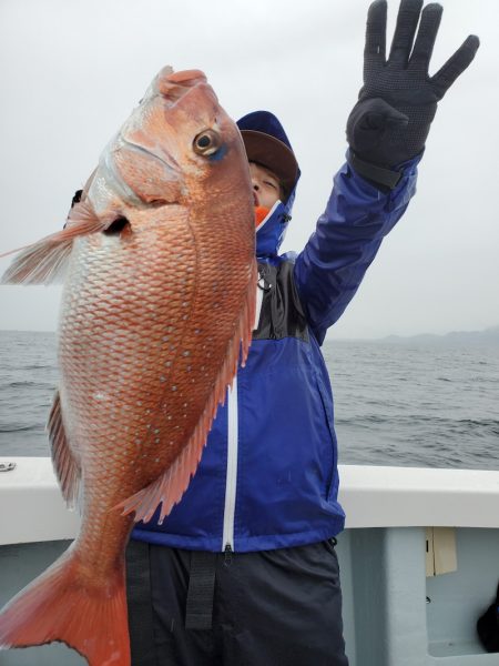 シーライオン 釣果