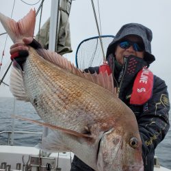 シーライオン 釣果