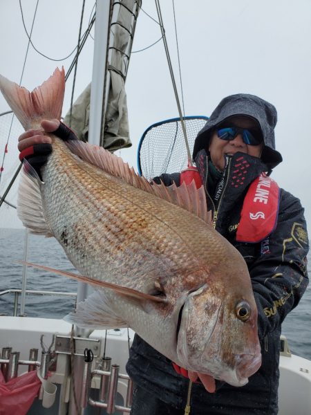 シーライオン 釣果