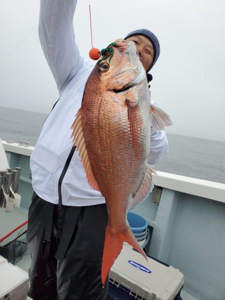 シーライオン 釣果