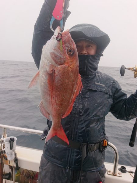 ARCADIAⅡ (アルカディアⅡ) 釣果