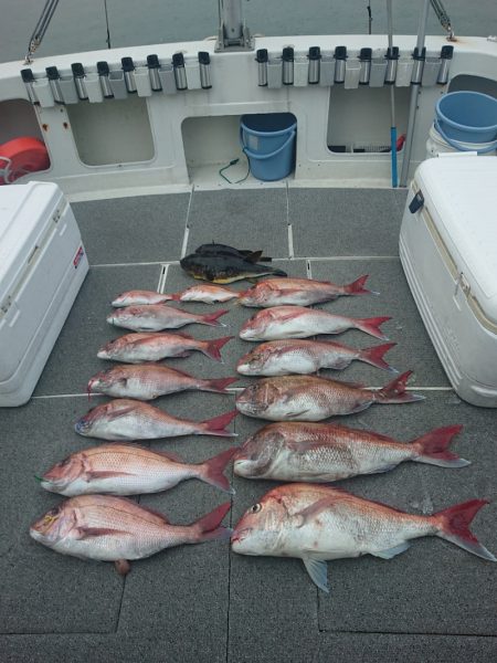 ARCADIAⅡ (アルカディアⅡ) 釣果