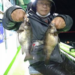 小島丸 釣果