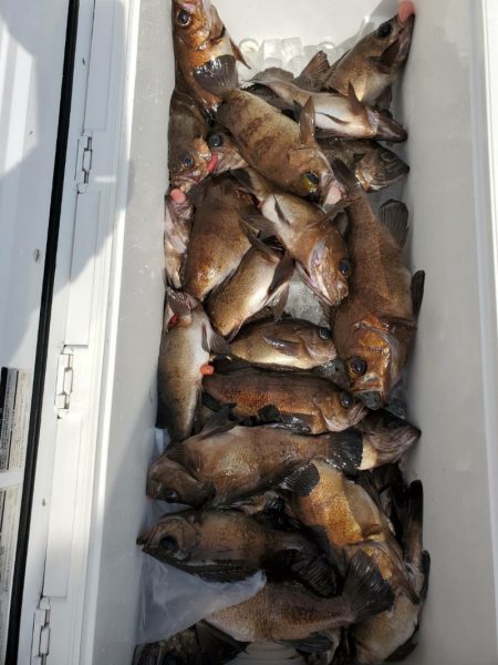 海龍丸（石川） 釣果