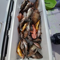 海龍丸（石川） 釣果