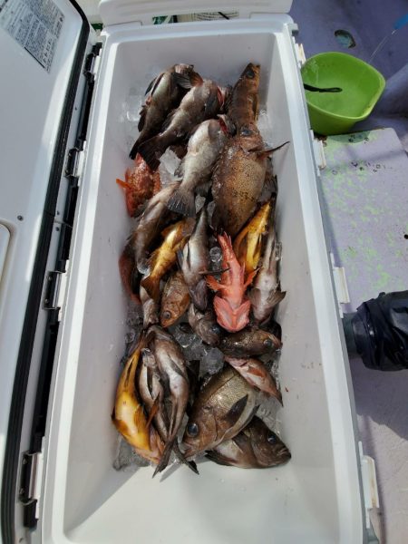 海龍丸（石川） 釣果