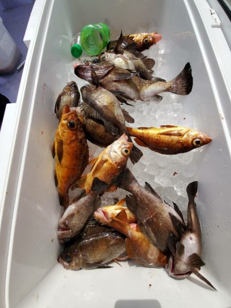 海龍丸（石川） 釣果