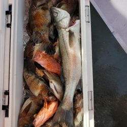 海龍丸（石川） 釣果