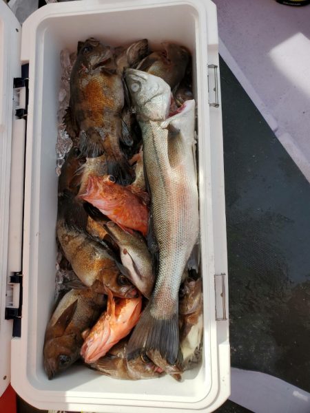 海龍丸（石川） 釣果