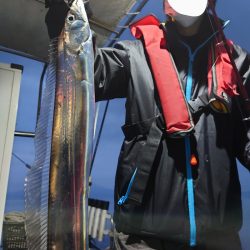 シースナイパー海龍 釣果