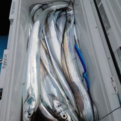 シースナイパー海龍 釣果