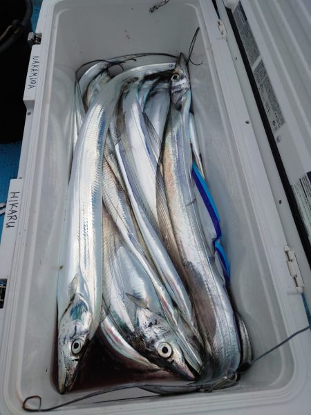 シースナイパー海龍 釣果