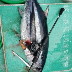丸万釣船 釣果